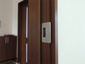 Adjustable Strike (F Type)